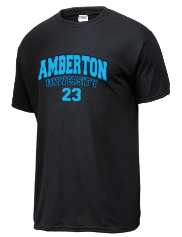 Amberton University JERZEES Men's Dri-Power Sport T-shirt