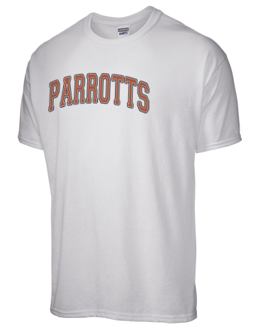 Parrottsville Elementary School JERZEES Men's Dri-Power Sport T-shirt