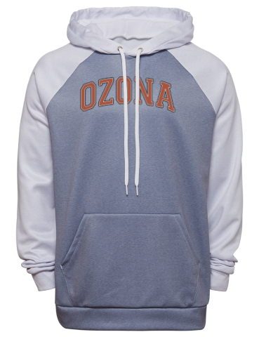 Ozona Primary School Fanthread™ Men's Color Block Hooded Sweatshirt