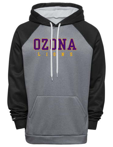 Ozona Primary School Fanthread™ Men's Color Block Hooded Sweatshirt